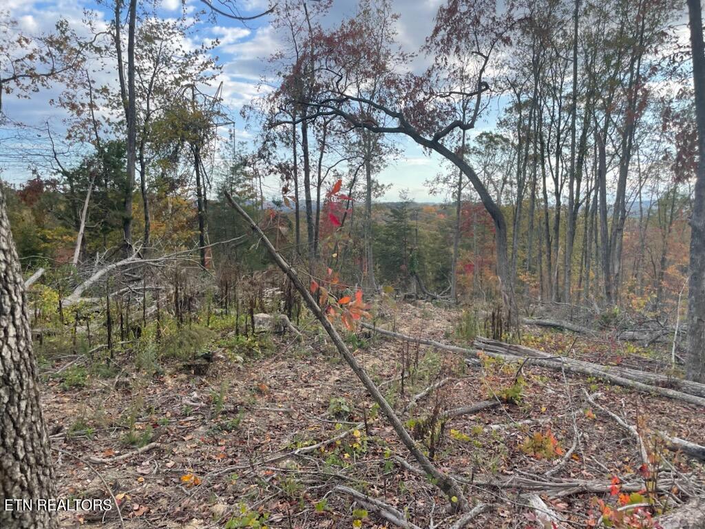 1707 Paint Rock Ferry Road Kingston, TN 37763 - Photo 14 of 29 1000005609