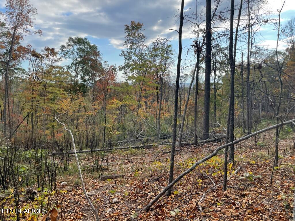 1707 Paint Rock Ferry Road Kingston, TN 37763 - Photo 15 of 29 1000005605