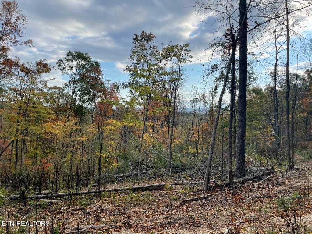 1707 Paint Rock Ferry Road Kingston, TN 37763 - Photo 16 of 29 1000005604