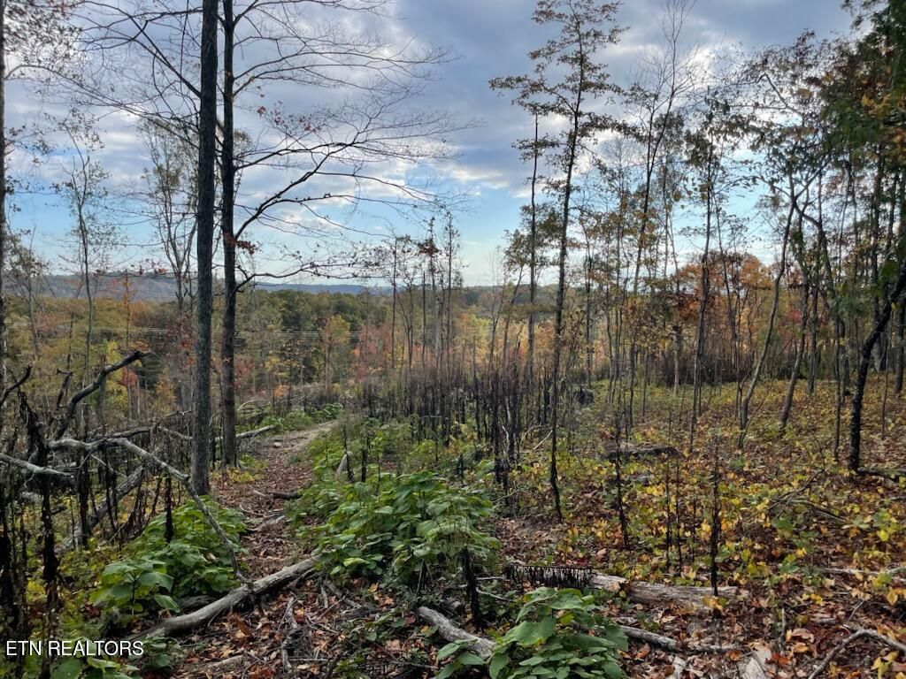 1707 Paint Rock Ferry Road Kingston, TN 37763 - Photo 17 of 29 1000005602