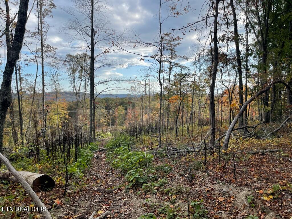 1707 Paint Rock Ferry Road Kingston, TN 37763 - Photo 18 of 29 1000005603