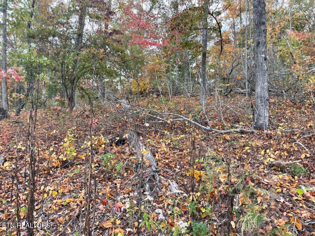 1707 Paint Rock Ferry Road Kingston, TN 37763 - Photo 19 of 29 1000005600