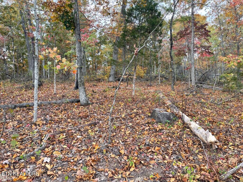 1707 Paint Rock Ferry Road Kingston, TN 37763 - Photo 20 of 29 1000005598