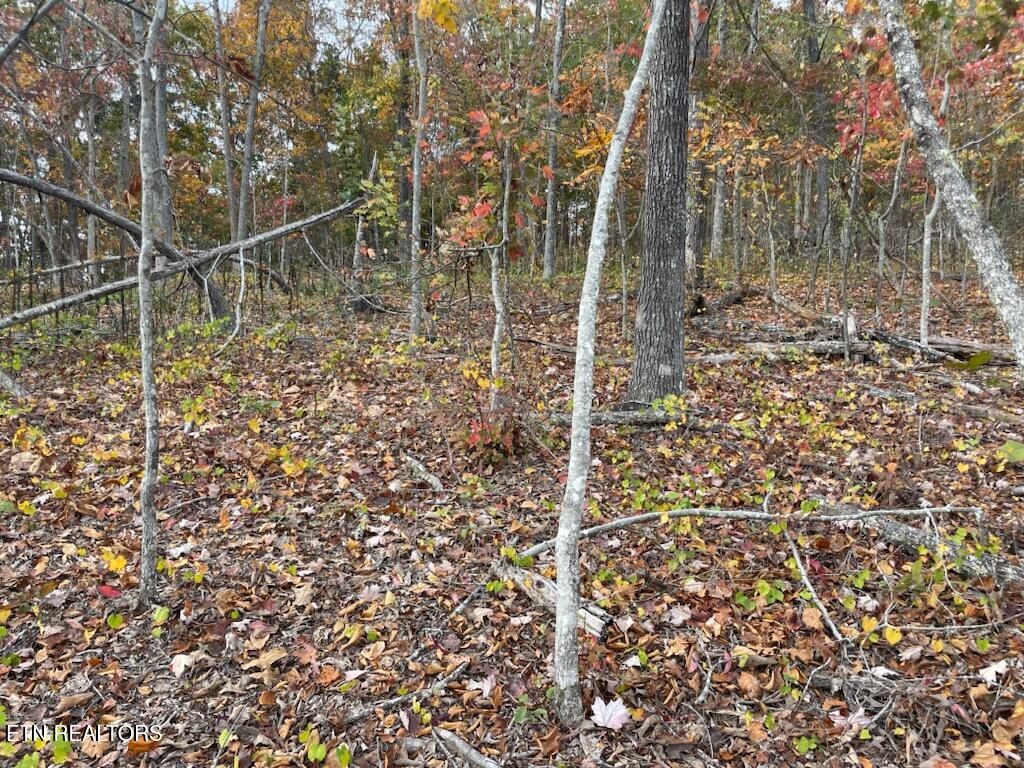 1707 Paint Rock Ferry Road Kingston, TN 37763 - Photo 21 of 29 1000005597