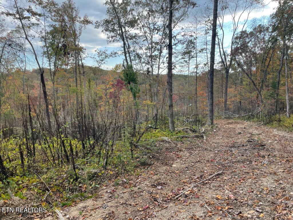 1707 Paint Rock Ferry Road Kingston, TN 37763 - Photo 22 of 29 1000005594