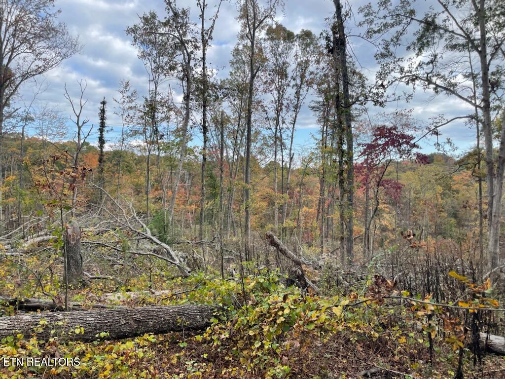 1707 Paint Rock Ferry Road Kingston, TN 37763 - Photo 23 of 29 1000005593