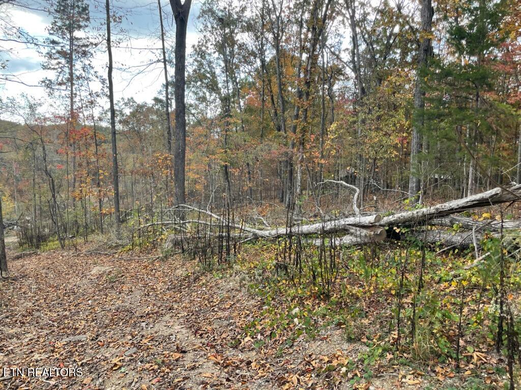 1707 Paint Rock Ferry Road Kingston, TN 37763 - Photo 24 of 29 1000005592