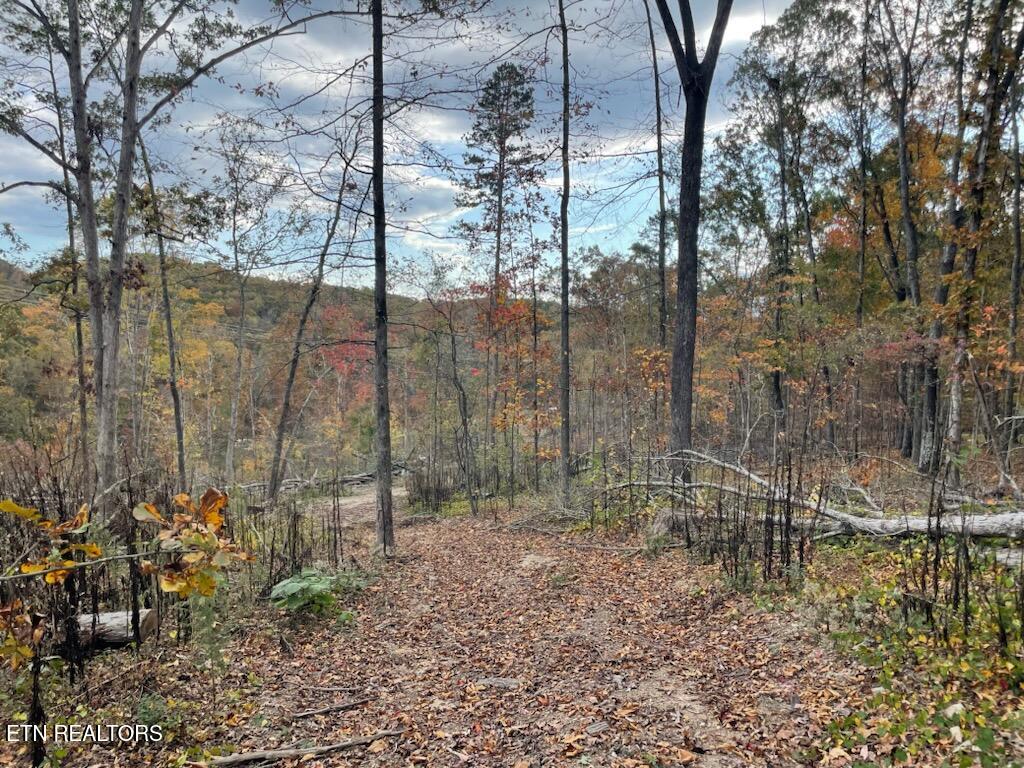 1707 Paint Rock Ferry Road Kingston, TN 37763 - Photo 25 of 29 1000005591