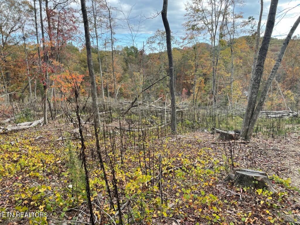 1707 Paint Rock Ferry Road Kingston, TN 37763 - Photo 26 of 29 1000005590