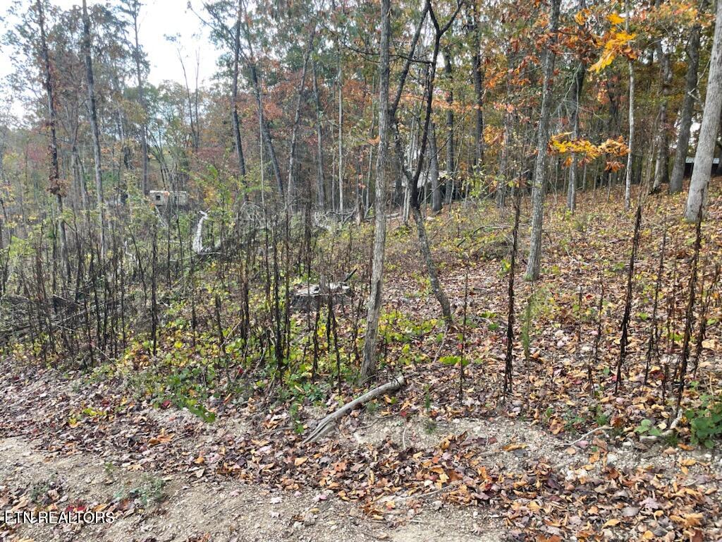 1707 Paint Rock Ferry Road Kingston, TN 37763 - Photo 27 of 29 1000005589