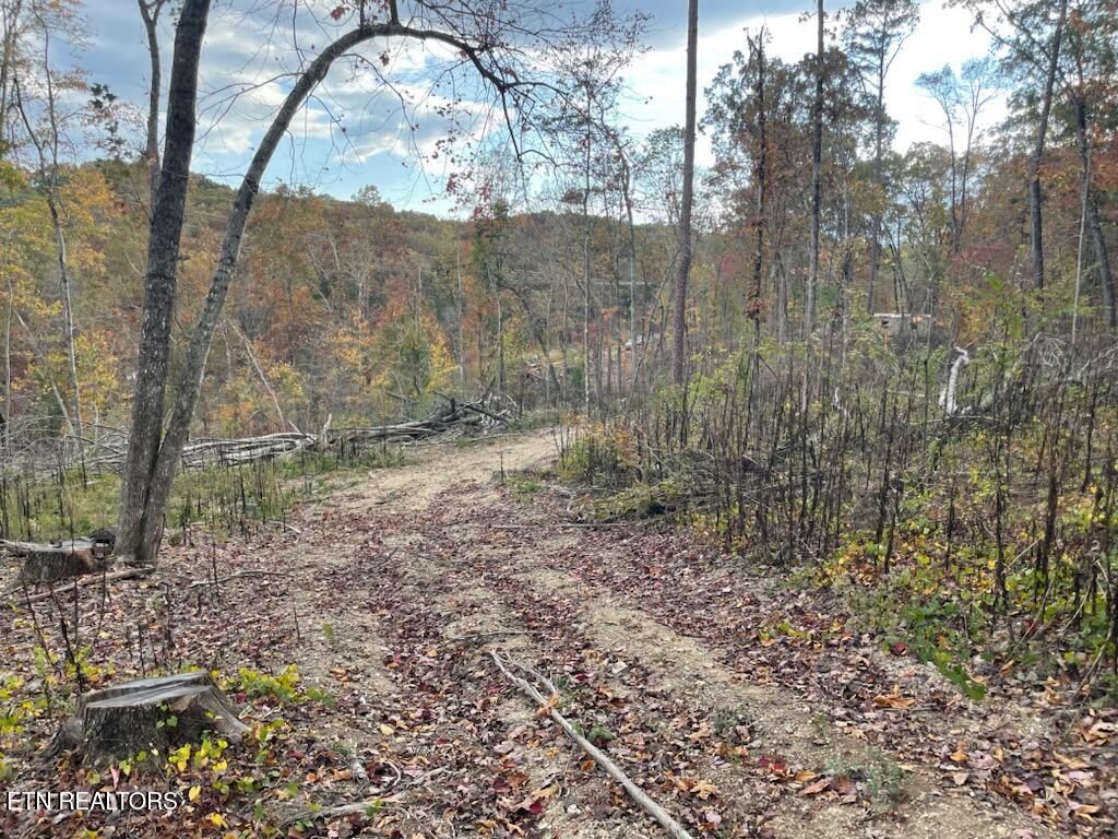 1707 Paint Rock Ferry Road Kingston, TN 37763 - Photo 28 of 29 1000005588