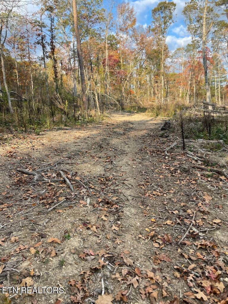 1707 Paint Rock Ferry Road Kingston, TN 37763 - Photo 6 of 29 1000005618