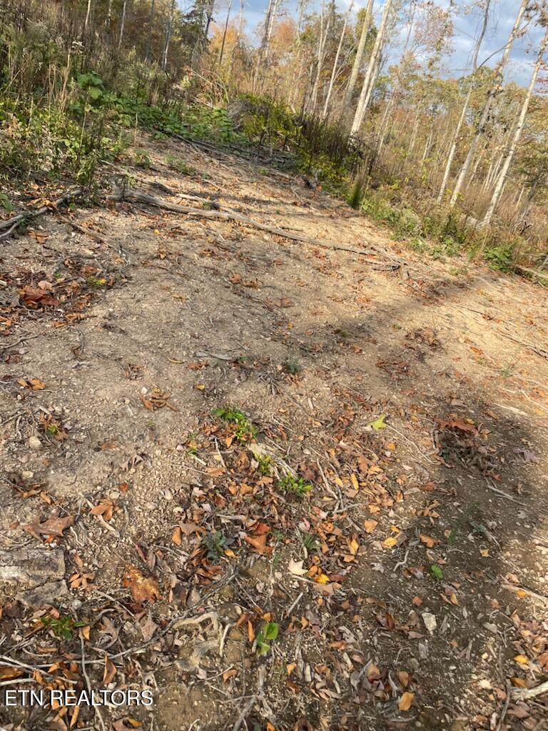 1707 Paint Rock Ferry Road Kingston, TN 37763 - Photo 7 of 29 1000005617