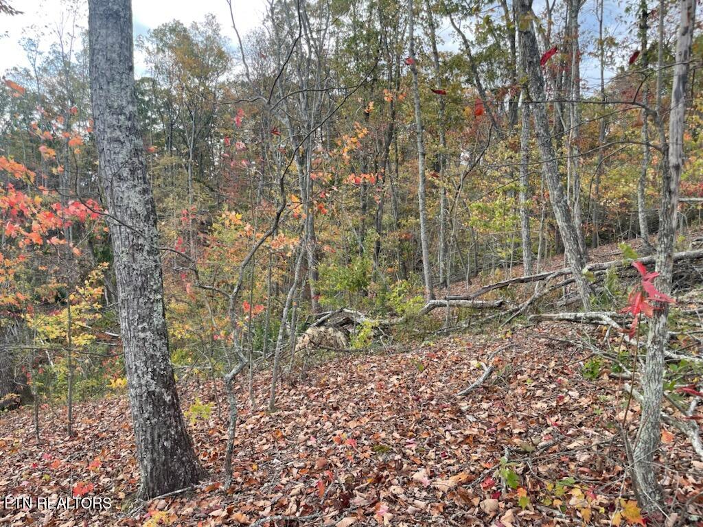 1707 Paint Rock Ferry Road Kingston, TN 37763 - Photo 8 of 29 1000005616