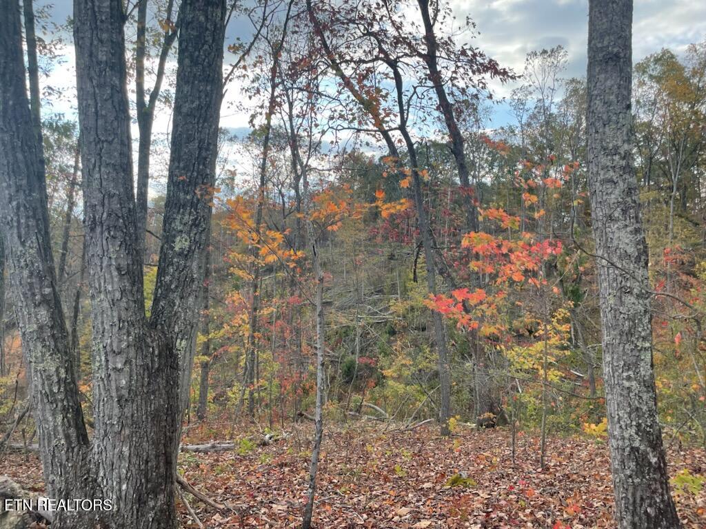 1707 Paint Rock Ferry Road Kingston, TN 37763 - Photo 9 of 29 1000005614