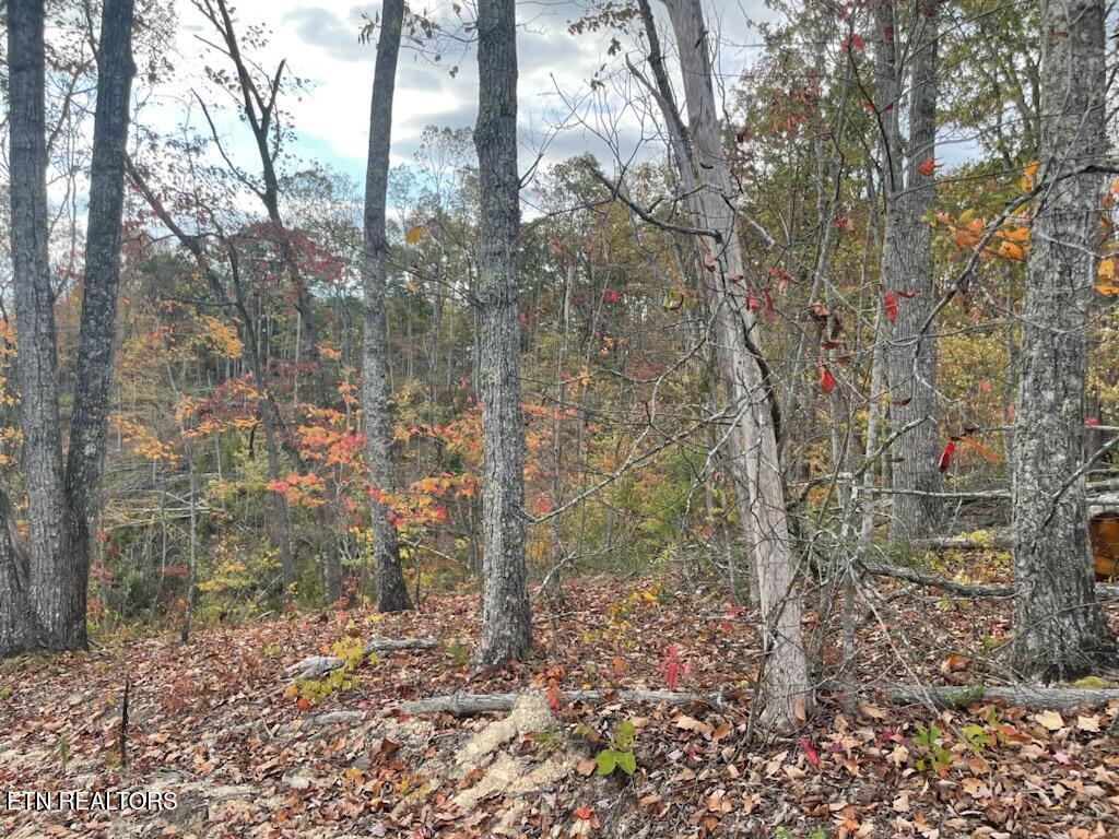 1707 Paint Rock Ferry Road Kingston, TN 37763 - Photo 10 of 29 1000005613