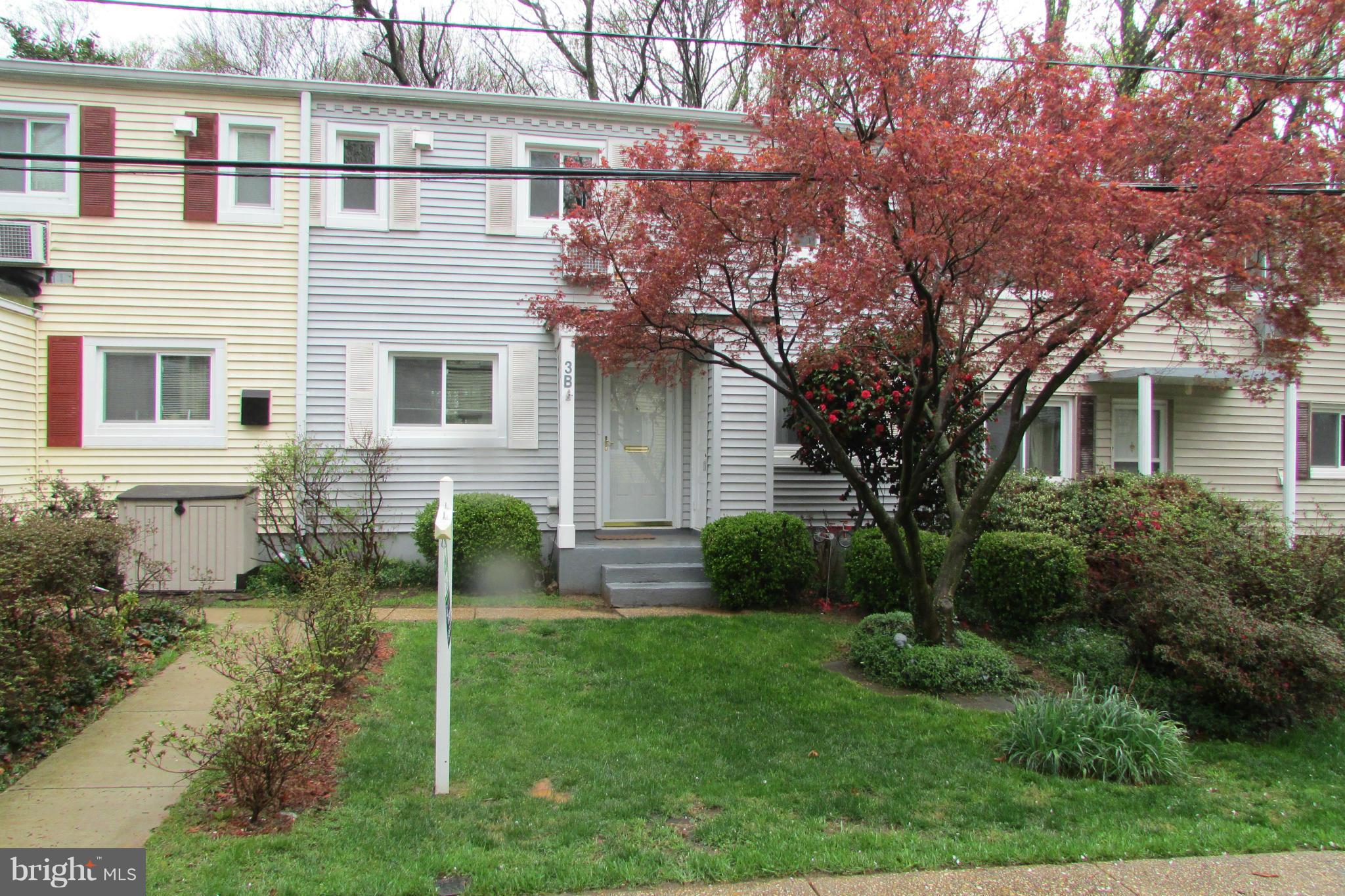 3 Crescent Road, Unit B Greenbelt, MD 20770 - Photo 1 of 22 a backyard of a house with plants and large tree