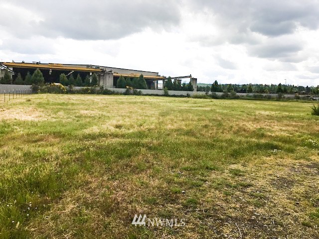 19312 Elderberry Street Southwest Rochester, WA 98579 - Photo 2 of 19 Gallery Image 2