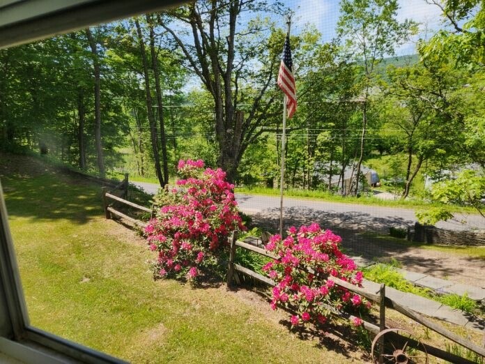 4020 East River Road Walton, NY 13856 - Photo 5 of 25 colorful landscape