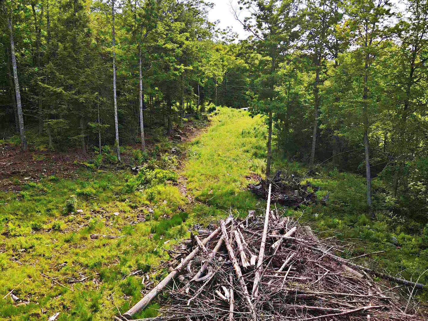 0 Millstream Heights Dedham, ME 04429 - Photo 5 of 5 2022-06-16-15-53-25-897 3