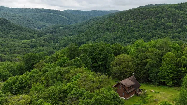 a view of a back yard