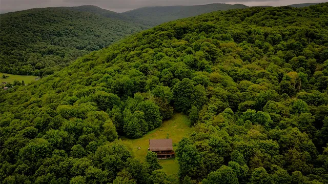 an aerial view of a forest with houses