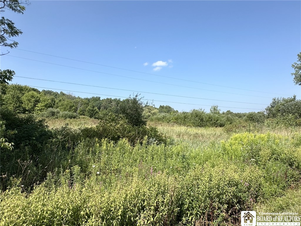 Pine Ridge Vl Road Jamestown, NY 14701 - Photo 2 of 11