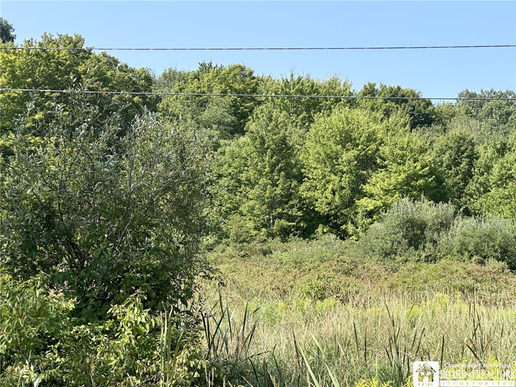 Pine Ridge Vl Road Jamestown, NY 14701 - Photo 7 of 11