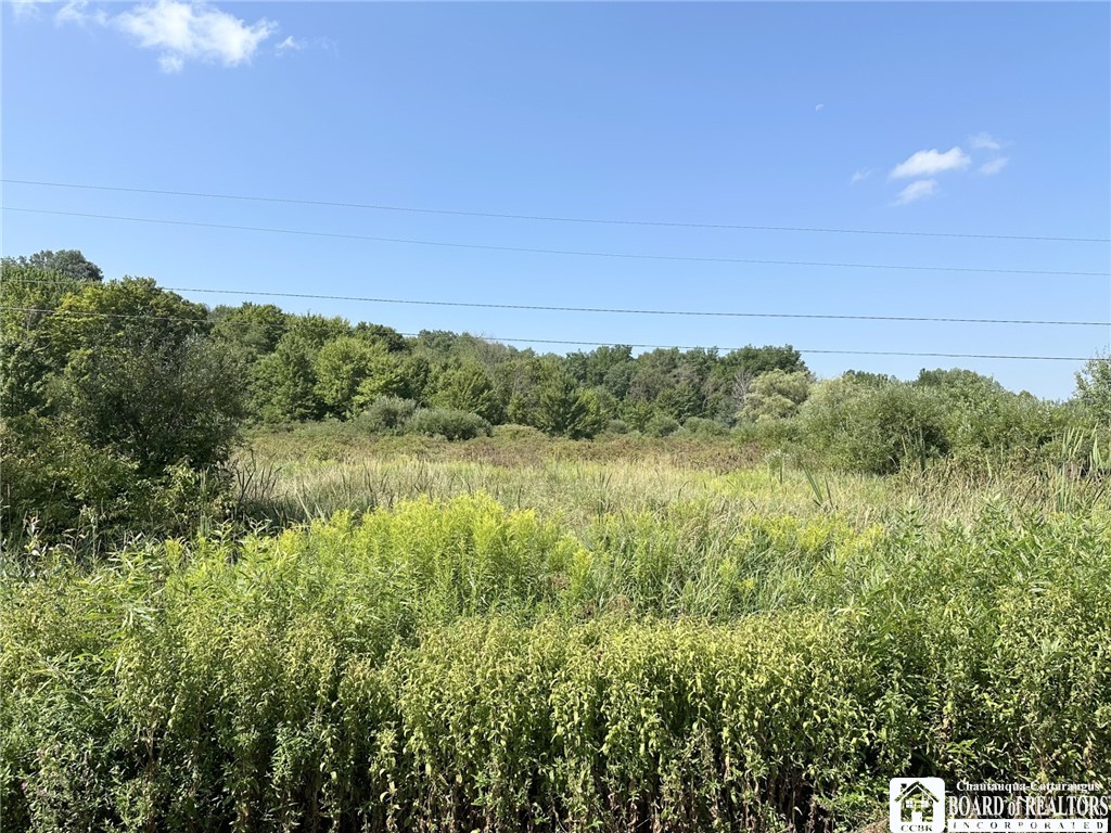 Pine Ridge Vl Road Jamestown, NY 14701 - Photo 8 of 11