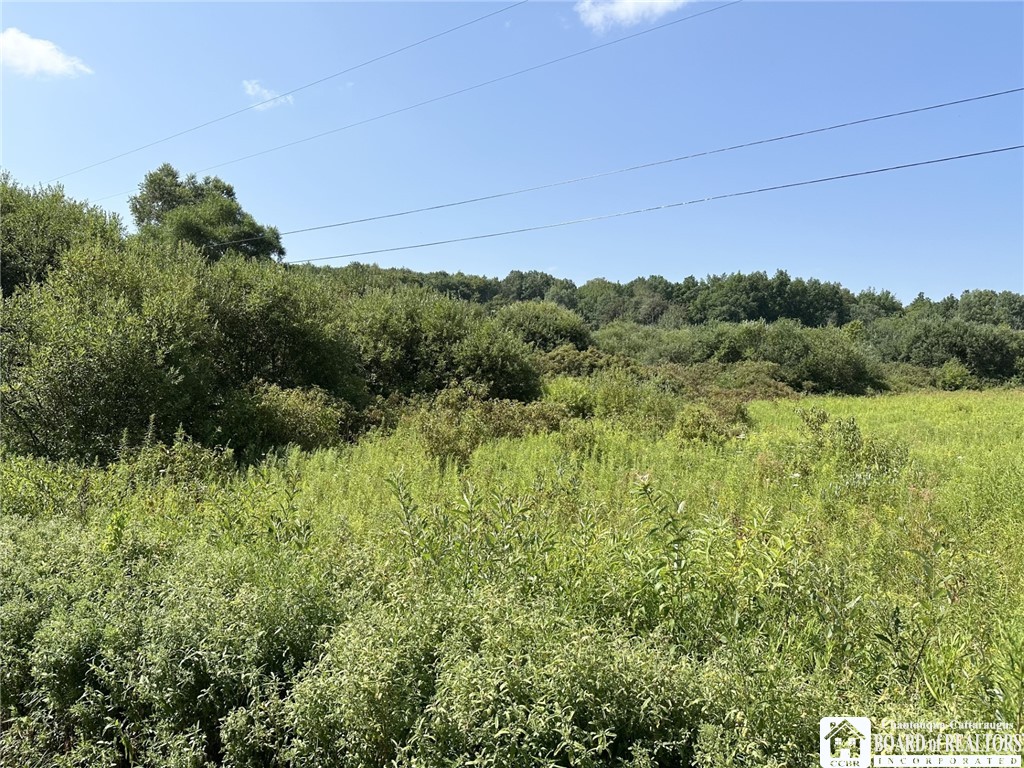 Pine Ridge Vl Road Jamestown, NY 14701 - Photo 10 of 11