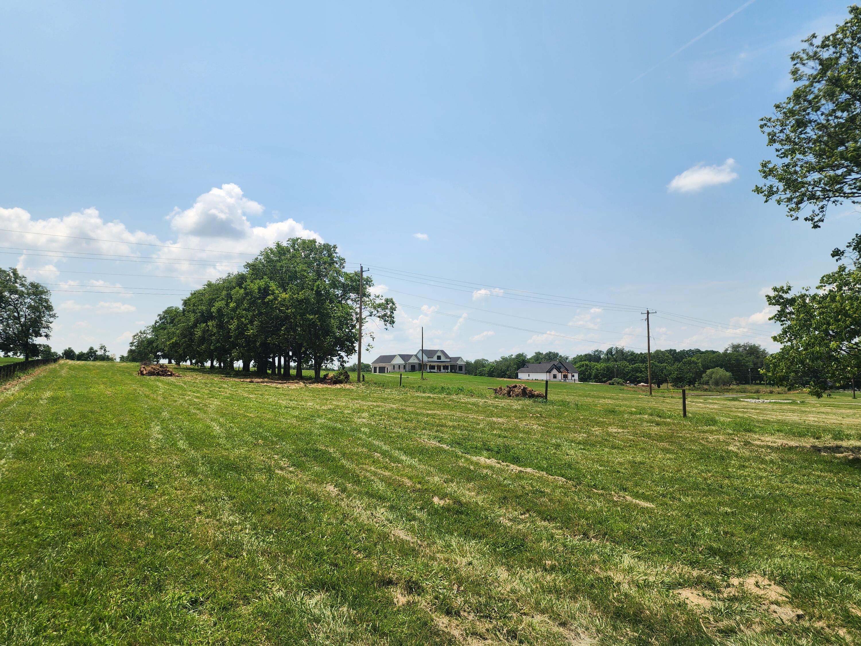 3540 Ironworks Road Georgetown, KY 40324 - Photo 11 of 15 20240617_134833