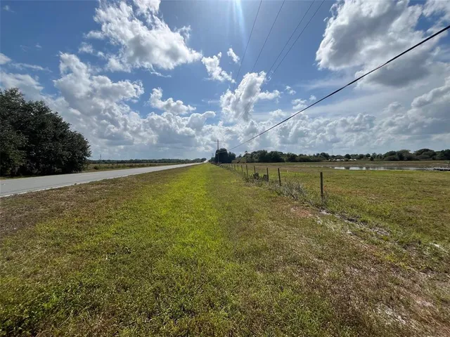 a view of a swimming pool with a yard and a large tree in the background