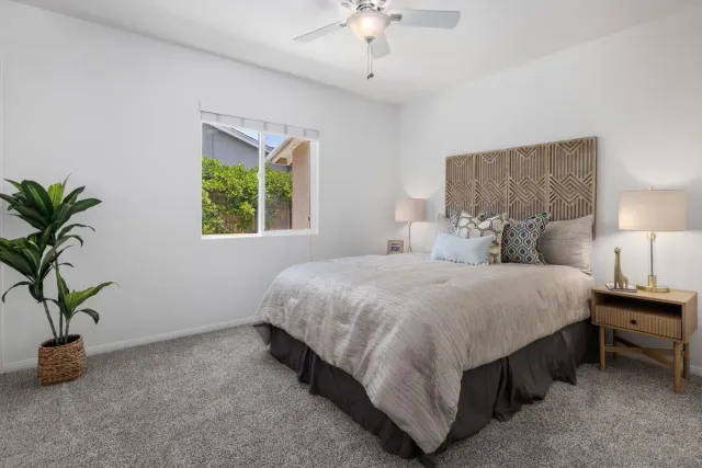 a spacious bedroom with a bed and a potted plant