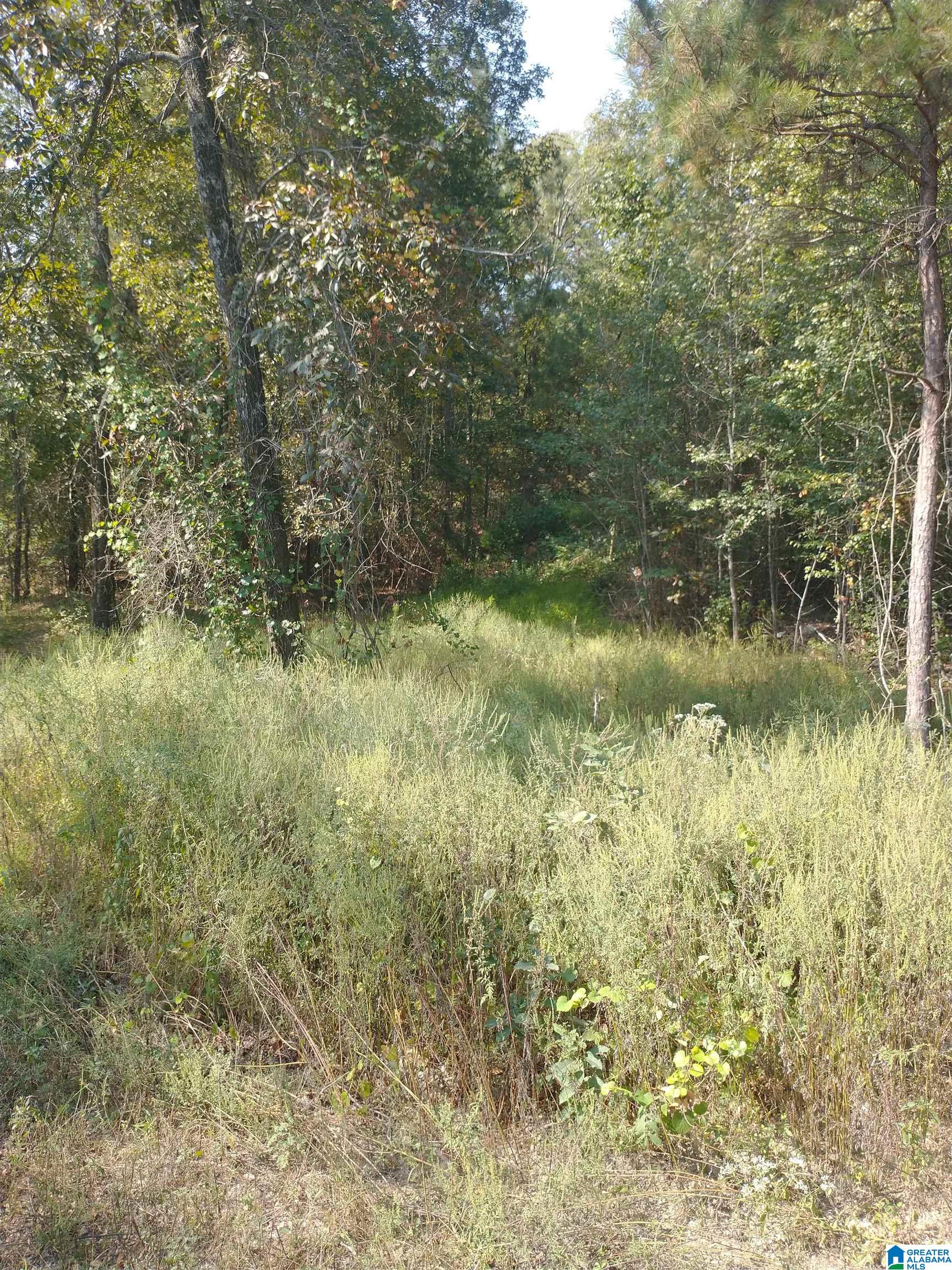 8100 Mckesie Street, Unit 81 ACRES Riverside, AL 35135 - Photo 4 of 18