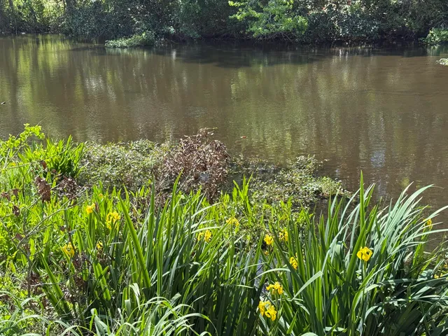 $739,800 | 1720 25th Street, Niceville, FL 32578