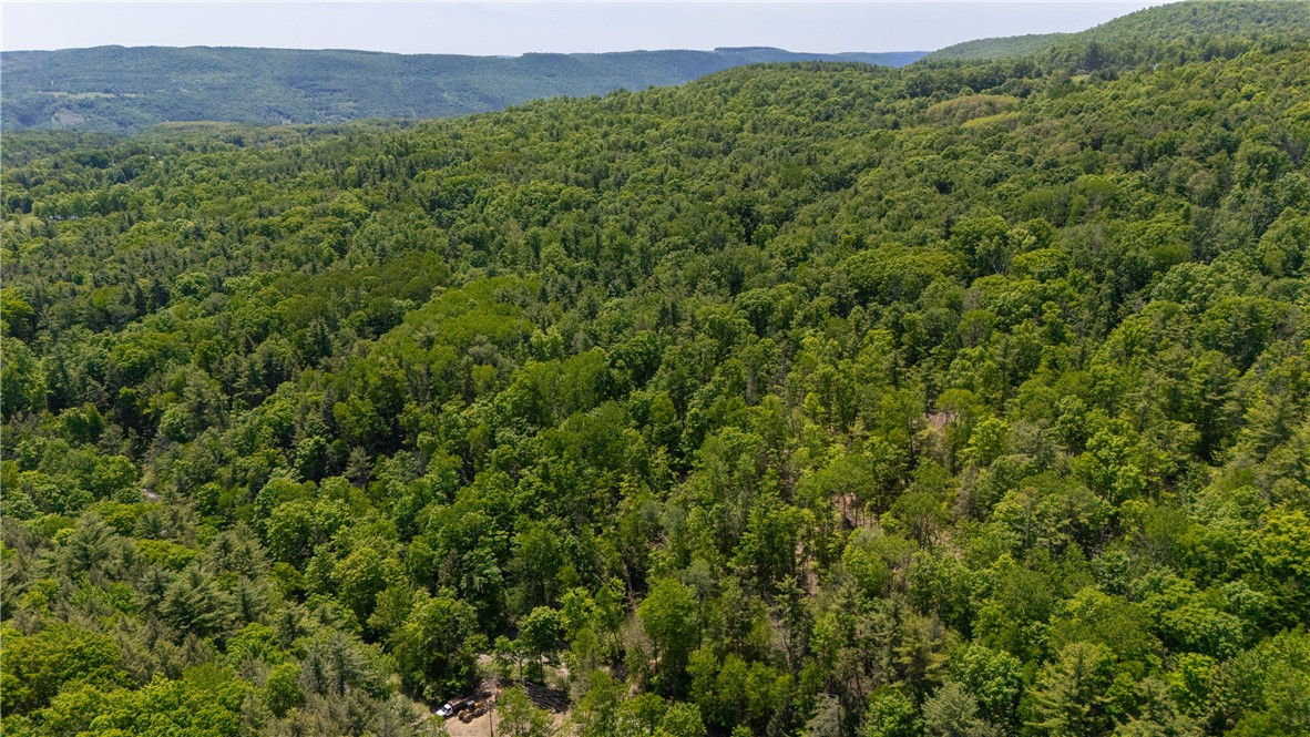 8867 Glenbrook Road Hammondsport, NY 14840 - Photo 16 of 17