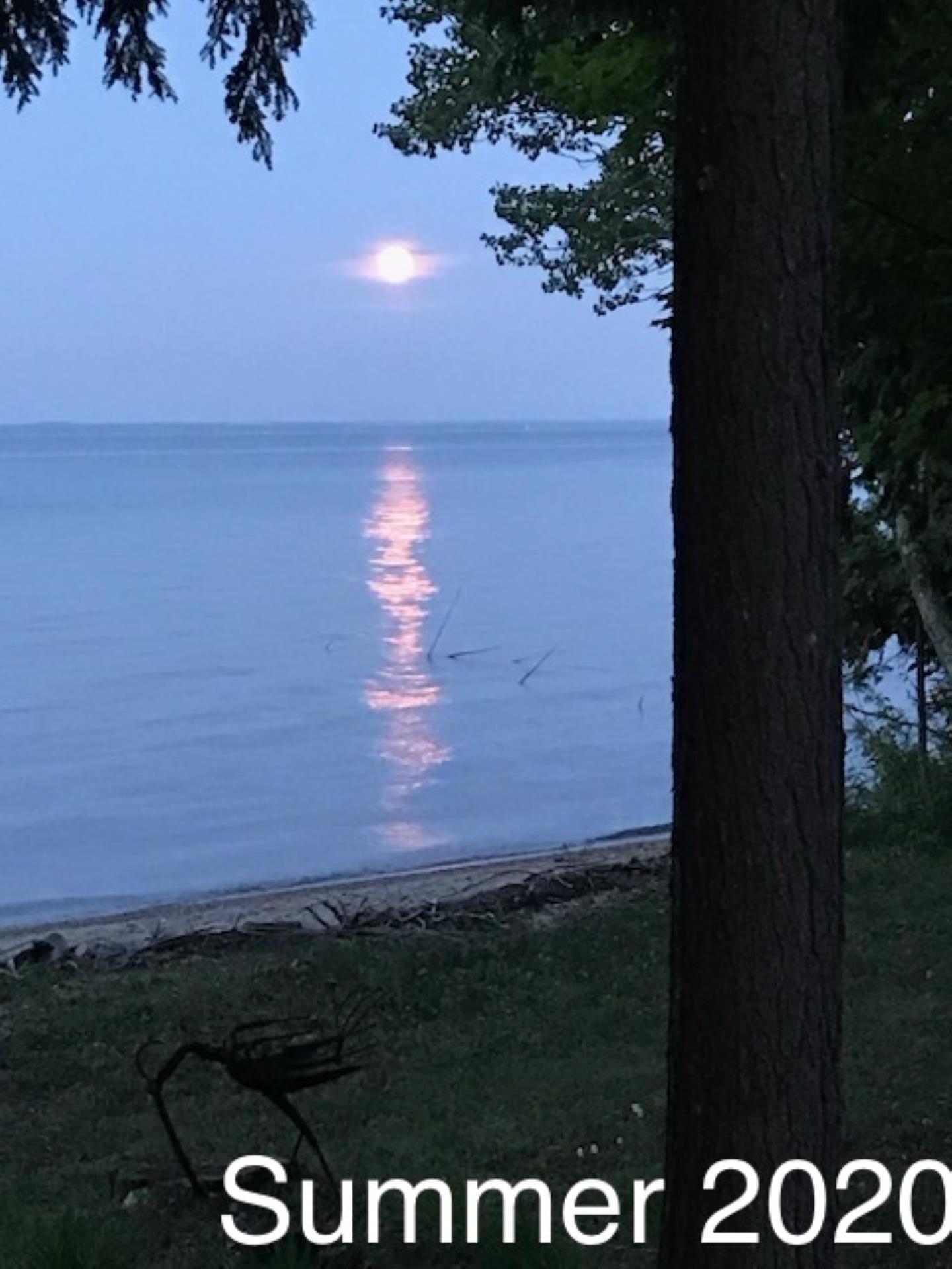 5088 Omena Point Road Omena, MI 49674 - Photo 53 of 58 1934984-29c7b57b-7a8d-47a3-a558-e30b23153955.JPG