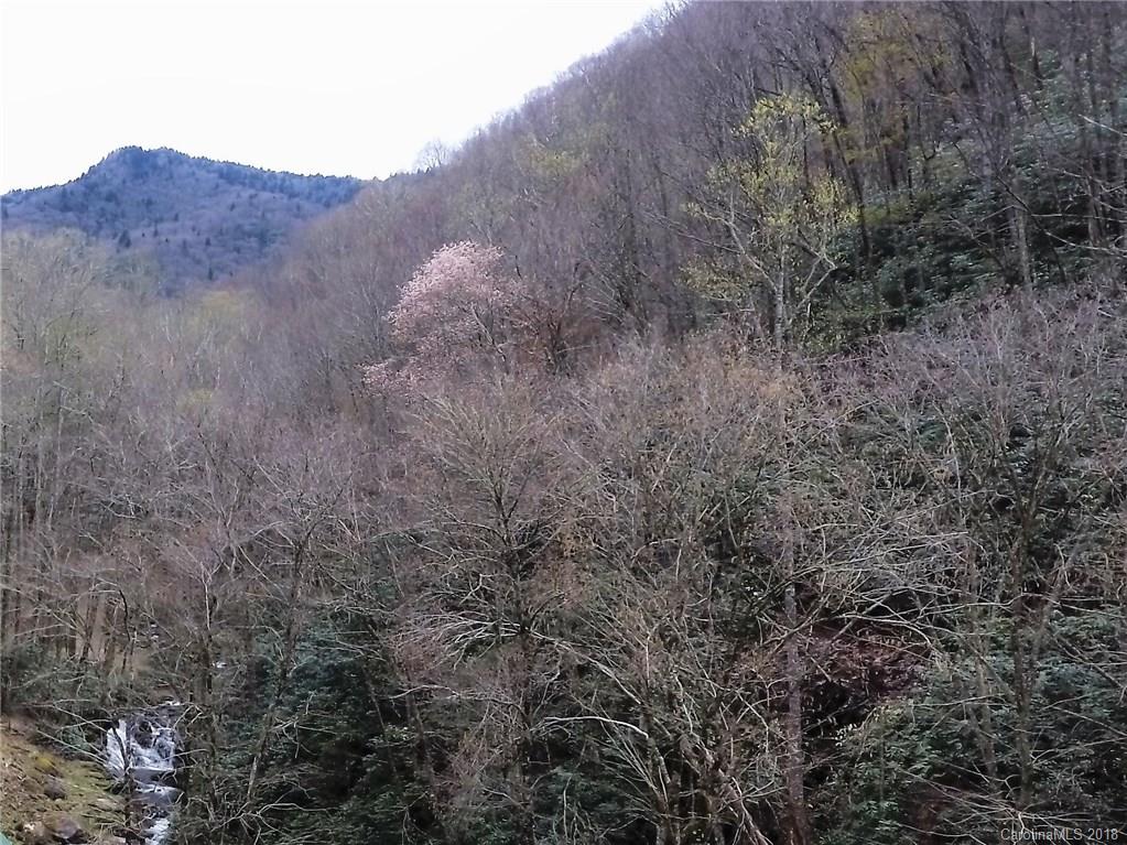 83 A Reservation Road, Unit 83A Maggie Valley, NC 28751 - Photo 6 of 6 Gallery Image 6