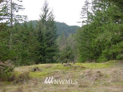 5953 Olga Road Orcas Island, WA 98279 - Photo 1 of 1 Gallery Image 1