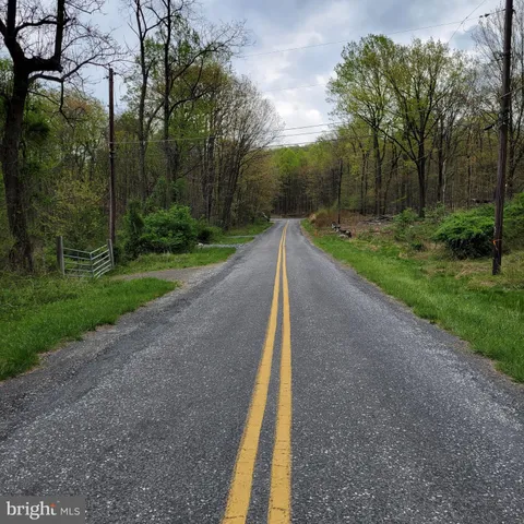 a view of a park with large trees