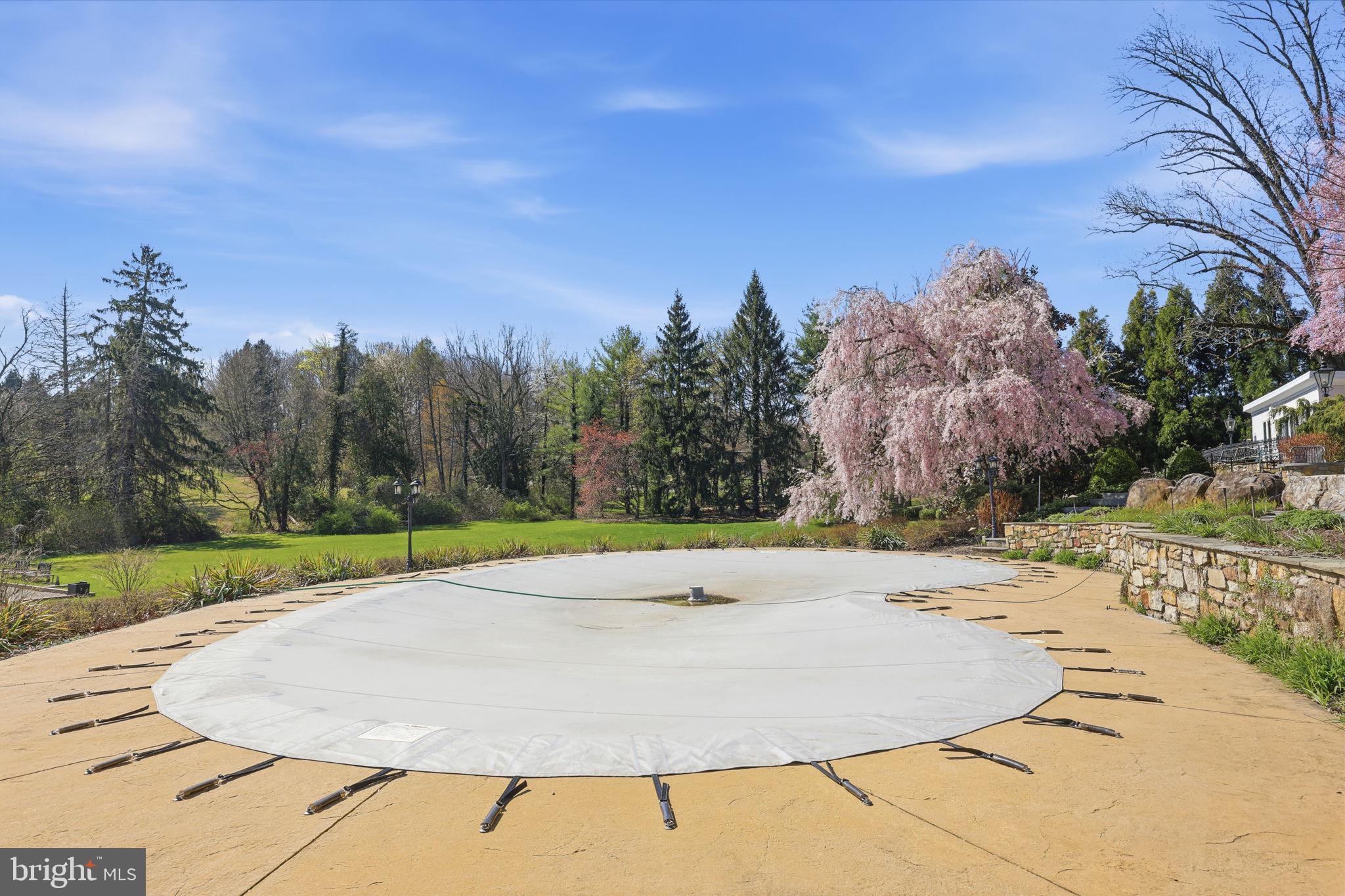 3039 Durham Road Doylestown, PA 18902 - Photo 13 of 122 Heart-shaped Pool