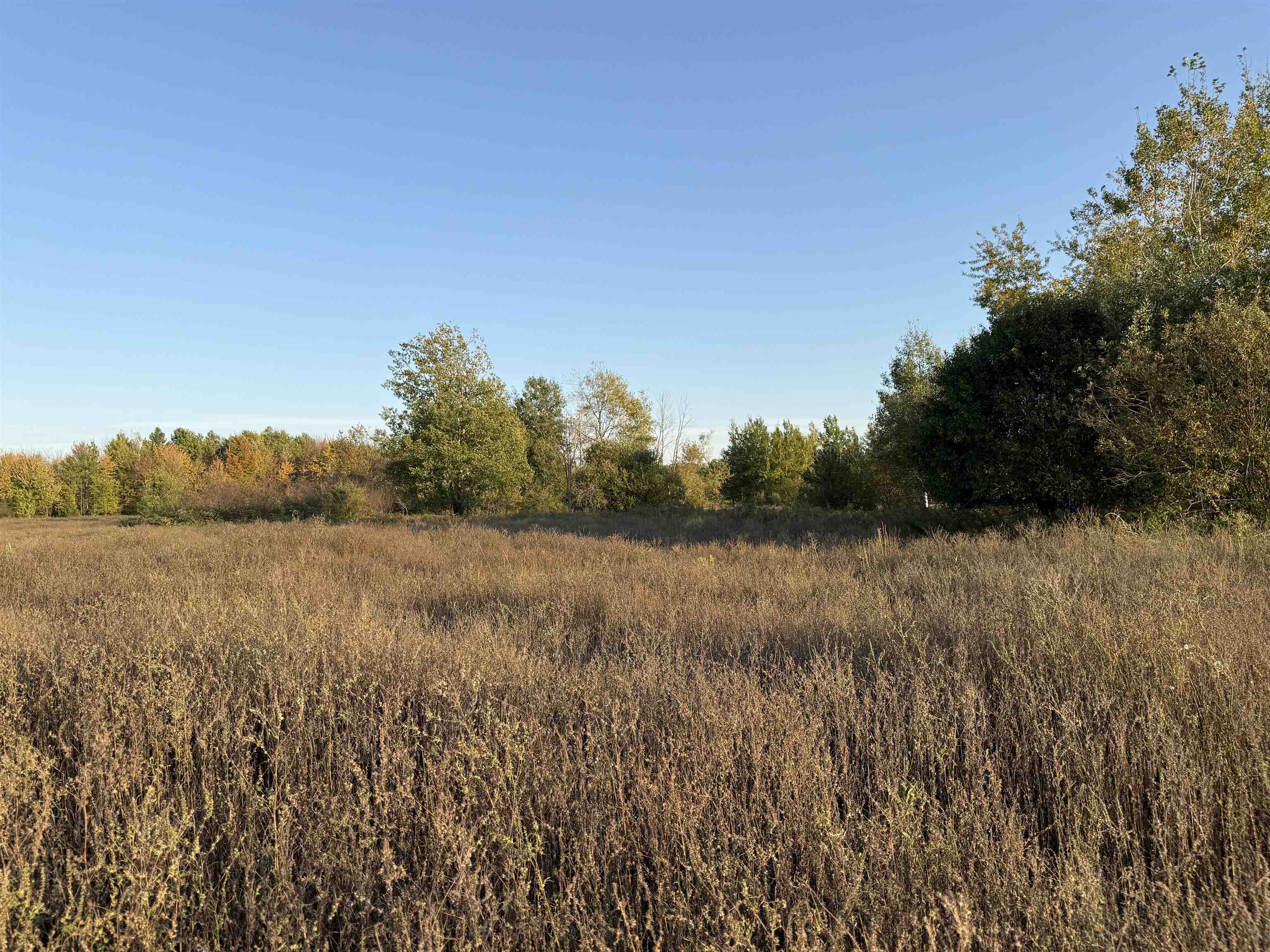 Lot 3 Eau Claire River Road Ringle, WI 54471 - Photo 16 of 19