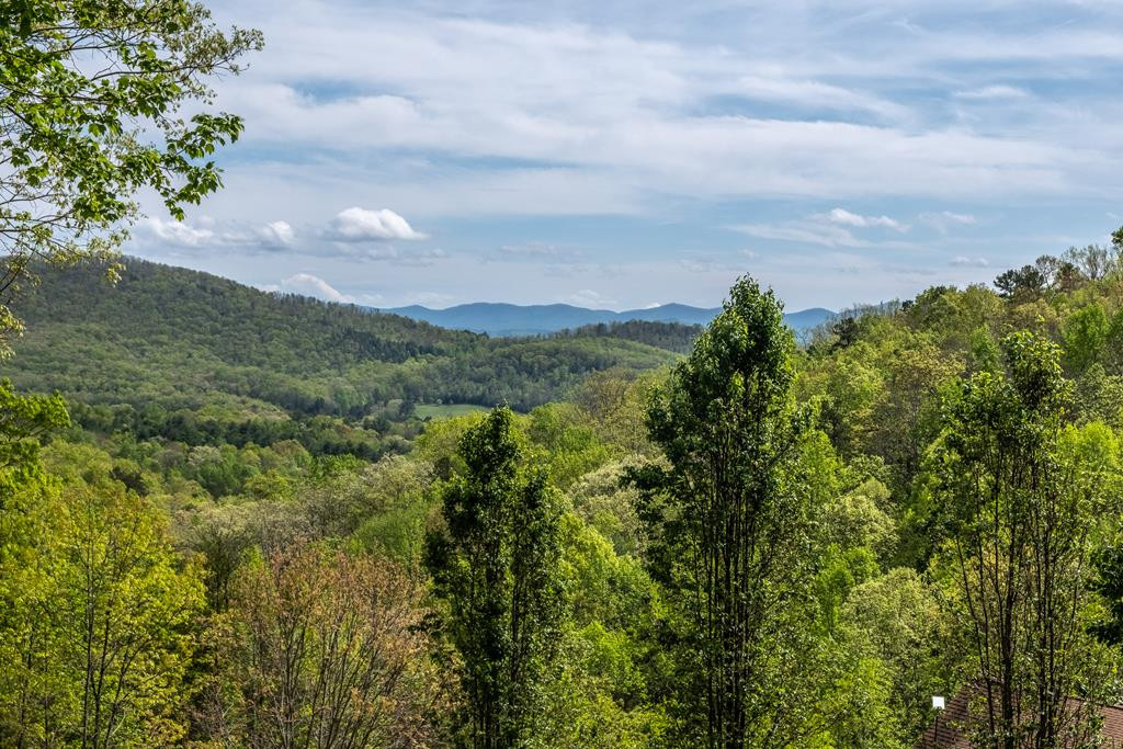 263 Solitude Lane Murphy, NC 28906 - Photo 60 of 61