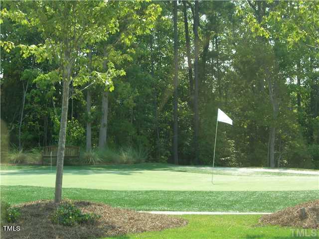 116 Beckingham Loop Cary, NC 27519 - Photo 42 of 47 putting green