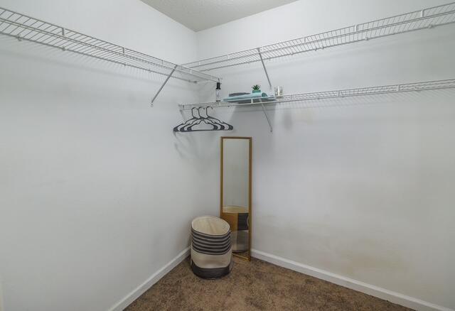 3021 Town Branch Road Lexington, KY 40511 - Photo 18 of 24 RW4_4851