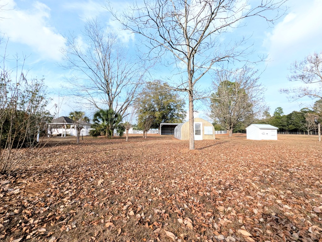 3117 Holland Road Newton, AL 36352 - Photo 65 of 71