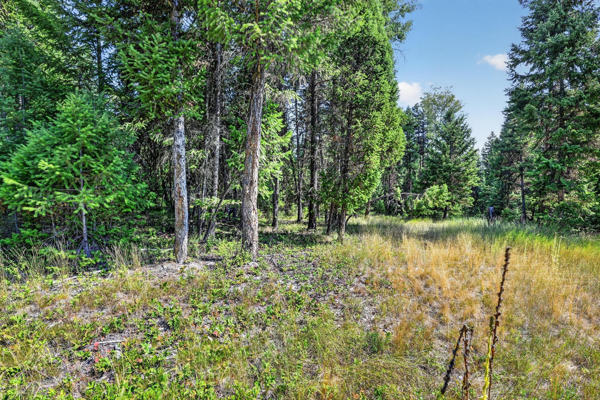 Lot 4 Forest Ridge Road Fortine, MT 59918 - Photo 9 of 21 Gallery Image 9