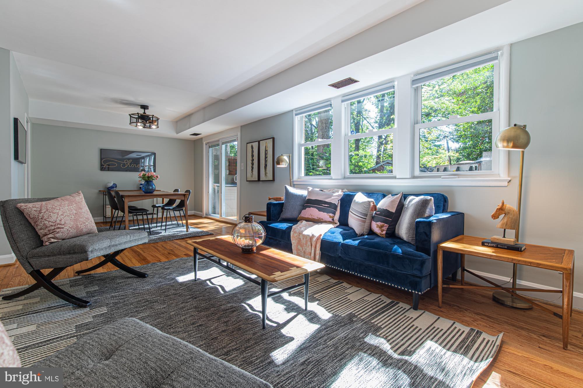 8531 Geren Road, Unit 238 Silver Spring, MD 20901 - Photo 4 of 30