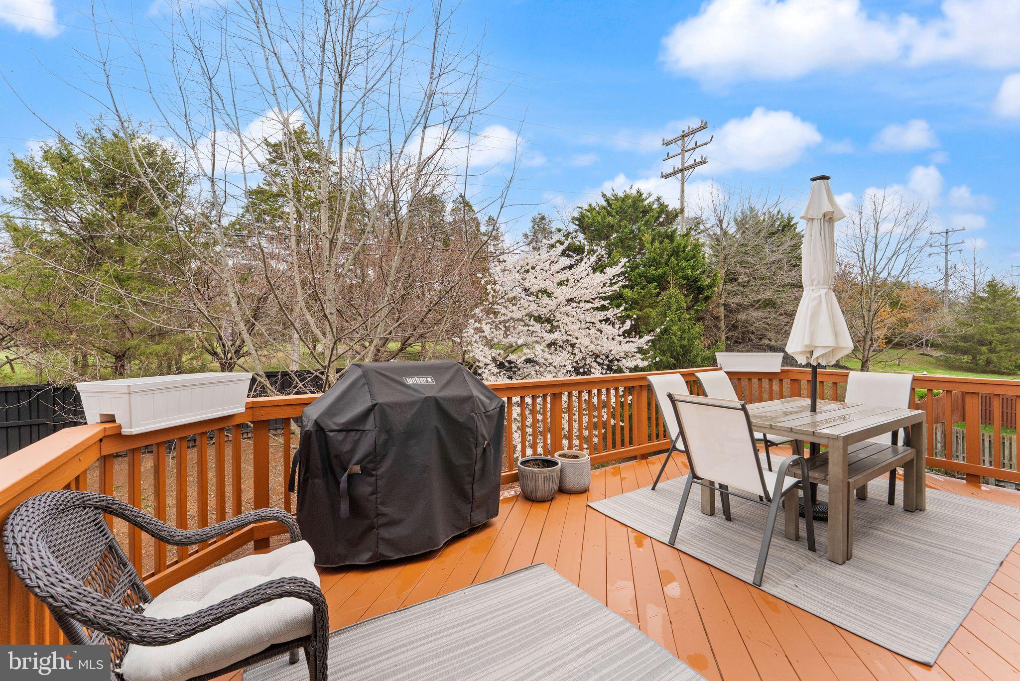 18168 Mill House Square Leesburg, VA 20176 - Photo 19 of 60 a view of balcony with furniture