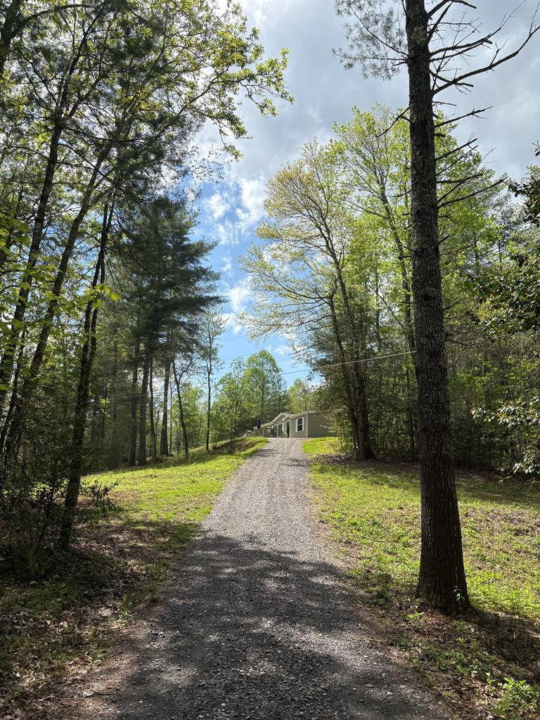 136 Caney Br Road Murphy, NC 28906 - Photo 4 of 41 Gallery Image 4